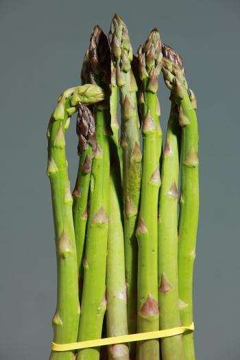  asparagus on fasting diet days