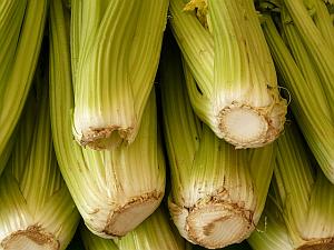 Celery lose weight without starving low calorie snack